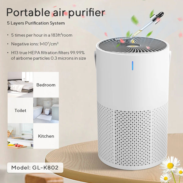 Portable Fresh Air Buddy