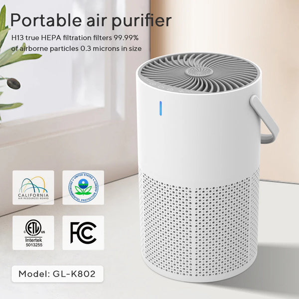 Portable Fresh Air Buddy